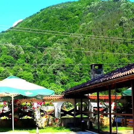 Family Virgin Ξενοδοχείο Ribarica